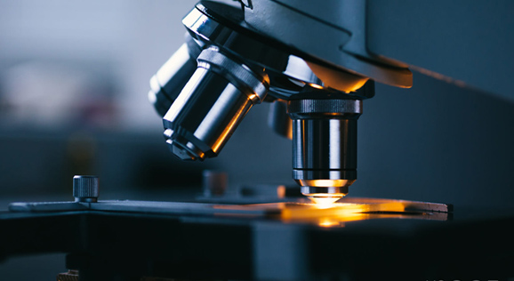 中国·8463永利皇宫(集团)有限公司-官方网站